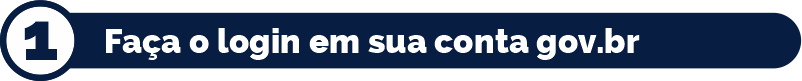1 - Faça o login em sua conta gov.br
