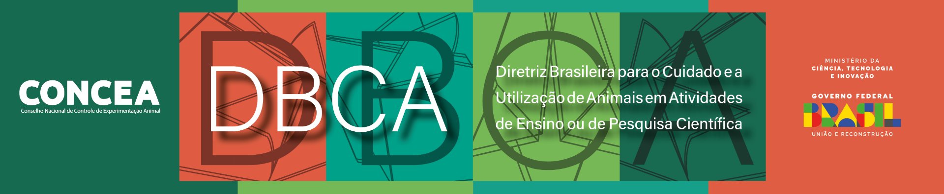 Carrossel DBCA.png