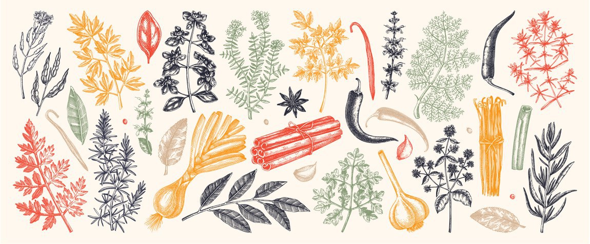 Com sabor e com saúde: temperos à base de ervas e especiarias
